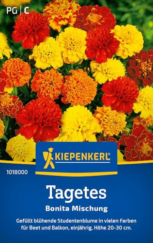 Kiepenkerl Tagetessamen Bonita Mischung 1018000 - Einjährige Blumensamen mit einer Wuchshöhe von 20 bis 30 cm und einem Inhalt für 50 Pflanzen - Saatgut