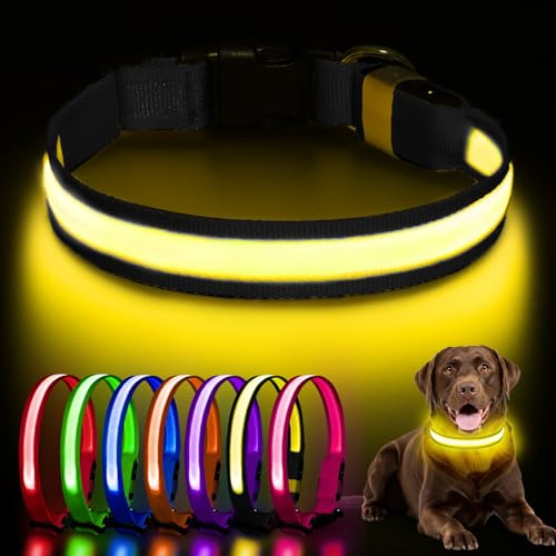 AOZOOM Light up Dog Collar, Rechargeable LED Dog Collar with 3 Glowing Modes, Adjustable Reflective Dog Collar for Small Medium Large Dogs(Black, Medium)