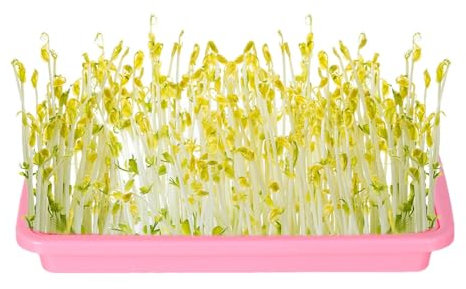 shpuuyy Bandeja de vivero para plantas, bandeja de cultivo sin tierra para germinación de plántulas | Bandeja de crecimiento saludable de hierba de trigo de gran capacidad para germinar plántulas