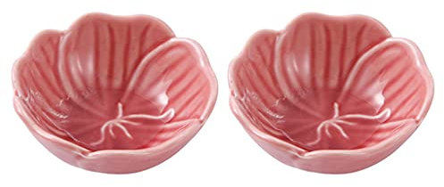 Ciotola per insalata in ceramica con posate, piatto per immersione in soia in ceramica, piatto per salsa in porcellana multiuso, mini piatto per condimenti, ciotole per immersione in soia per sushi, s
