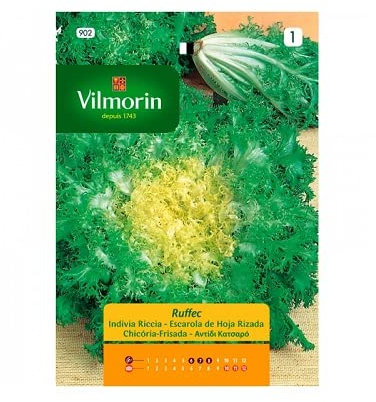 Semillas de ESCAROLA RUFFEC S-1 902, Sobre 8 gr