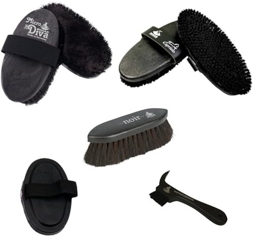 RL24 - Bürsten-Set Noir von Haas (5-teilig) | Putzzeug für Pferde | enthält 5 Pferdebürsten | entfernt Staub, Schmutz & loses Haar | Fellpflege & Glanz | Pferde Zubehör in schwarz