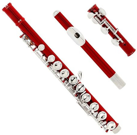 Rote 16-Loch-Flöte In C-Ton, Vernickelte Silber-Konzertflöte Aus Kupfernickel Mit Koffer Querflöte kit