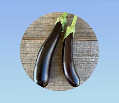300 graines aubergine de barbentane - Chair tendre