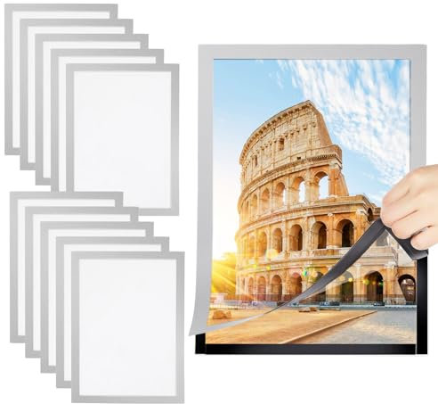 SWAWIS cornice magnetica A4, 10 pezzi, formato A4, info magnetica