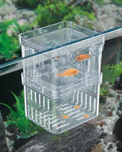 Pawfly Aquarium Fish Breeding Box Transparent Plastic Breeder Box för akvarium Fry Hatchery Incubator Kläckningslåda för babyfisk räkor Liten isoleringslåda för aggressiv fisk Guppy