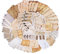 FLOFIA 90Pcs Scrapbooking Sticker Beschreibbar Vintage Dekopapier Scrapbook Stickers Aufkleber Papier Set für Scrapbook Kalender Notizbuch Tagebuch Fotoalbum Dekoration