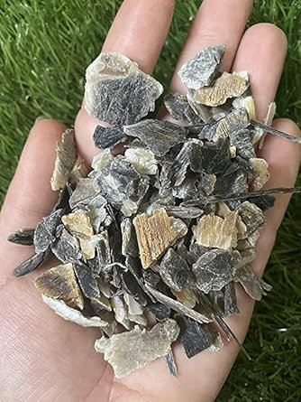 Pierucci Agricoltura CORNUNGHIA CONCIME SPECIFICO Limoni E AGRUMI. (25)