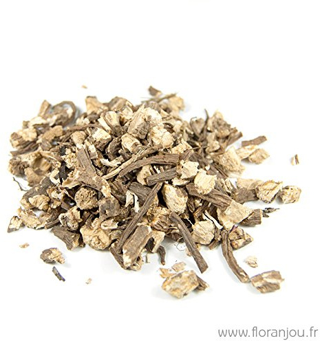Floranjou - Angélique racine BIO - Sachet Floranjou 80 g - Nom botanique : Angelica archangelica