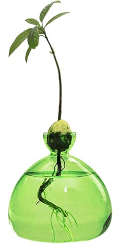 Uppfödningsglas för avokado och kastanjer, glas avokado träd blomvaser odlingsvaser, glas blomvas avokadovaser hydroponisk glasvas för dekoration vardagsrum bordsdekoration matbord, grodd glas (grön)