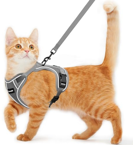 Cat Harness and Leash for Walking Escape Proof Soft Adjustable Cat Leash | Breathable Comfortable Vest Easy to Wear Kitten Harness for Outdoor Travel (Grey, XS (4-6lb))