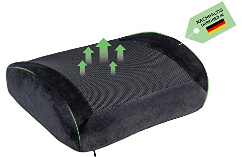 RICOO Cojin Silla Oficina Cojín Lumbar para Respaldo Ortopedico ergonomico SK-R0110 Despacho Terapeutico Acolchado Espalda Ciatica Negro