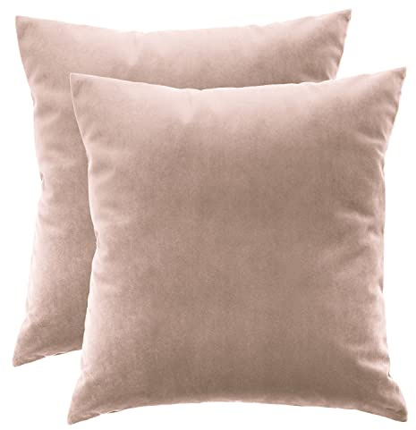 Ferocity - Set di federe in velluto 2 x Rosa Antico, 45 x 45 cm, con imbottitura, per cuscino decorativo, per divano, soggiorno, camera da letto, rosa, rosa scuro [091]