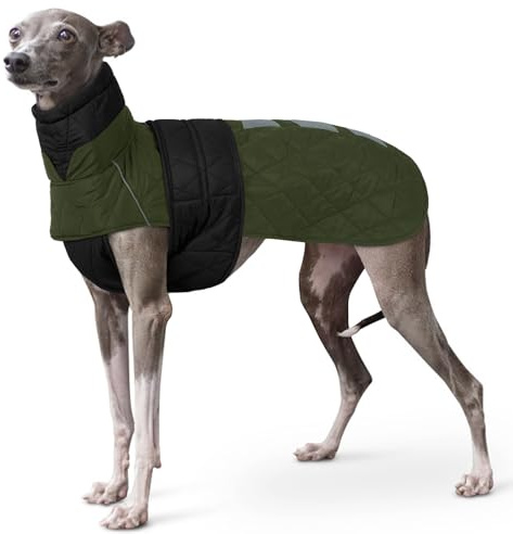 Cappotto Impermeabile Levrieri, Felpa Whippet Giacca Cani Calda Cappotto Neve Whippet Abbigliamento Invernale Levrieri
