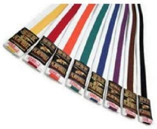 Playwell Martial Arts 220CM White Belt With Coloured Stripe