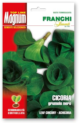Sementi in busta magnum termosaldata grande per la produzione di ortaggi nell'orto famigliare (Cicoria grumolo nero, Una busta)
