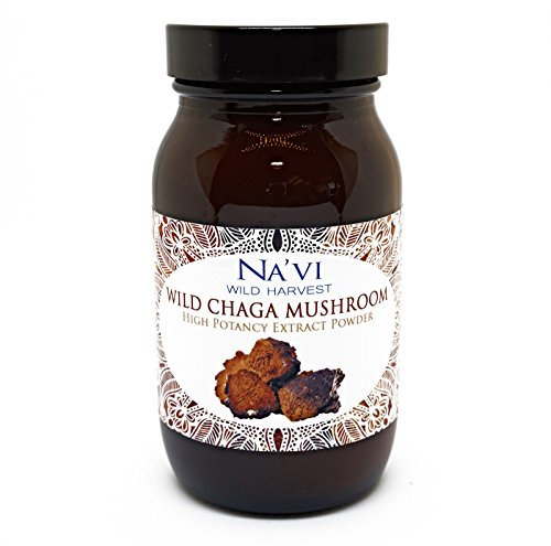 Wild Chaga Mushroom (2 Step Extraction) Extract Powder (80g)
