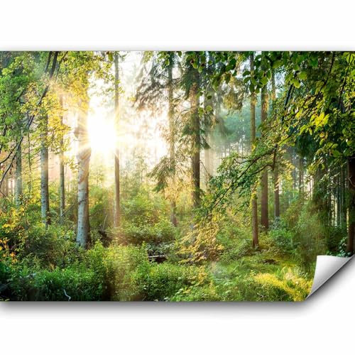 murando - Fototapete Premium-Vlies Wald 450x315 cm - Foto Tapete Schlafzimmer Wohnzimmer Moderne Vliestapete XXL Wandtapete Motivtapeten Bildtapete 3d Effekt Wand Dekoration - Bäume c-C-0032-a-b