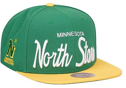 Mitchell & Ness Minnesota North Stars Vintage Script Snapback Cap