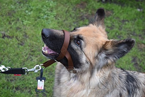 Dog Halter/Training Head Collar - Choice Of Colours (2, Brown)