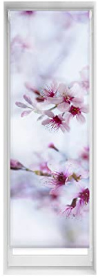 Blindecor Easy estores sin taladrar Estampados - Estor translúcido Estampado Digital, Calma, 55 x 150 cm (Ancho por Alto). Tamaño de la Tela 52 x 145cm
