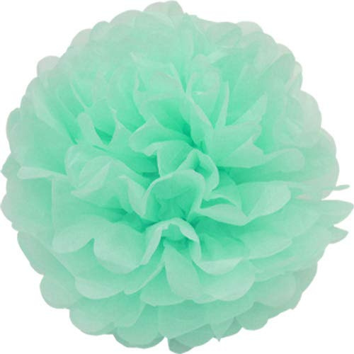 10 papper pompons 35 cm ny // PomPoms blomma kula siden papper pom pom dekor hängande deko rumsdeko blommor pompon Mintgrün / Mint 513