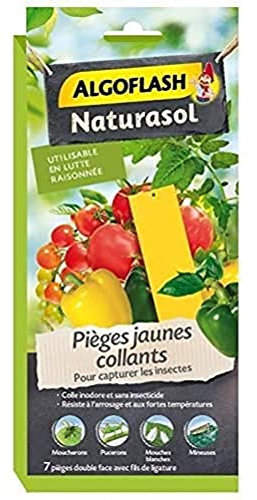 ALGOFLASH NATURASOL Pieges a insectes jaunes collants - 7 stickers