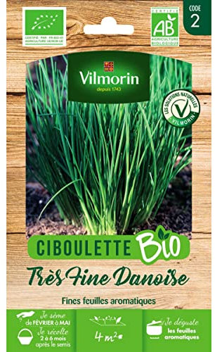 Vilmorin - Sachet graines Ciboulette très fine danoise BIO - Allium schoenoprasum