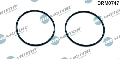 DR.MOTOR AUTOMOTIVE 2x Joint pompe à vide DRM0747