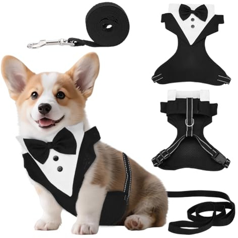 NBEADS Harnais de Smoking pour Chien, Harnais de Poitrine pour Chien avec Laisse Réglable et Nœud Papillon pour Anniversaire Mariage Promenade, Noir, 30x27.5x1.7cm