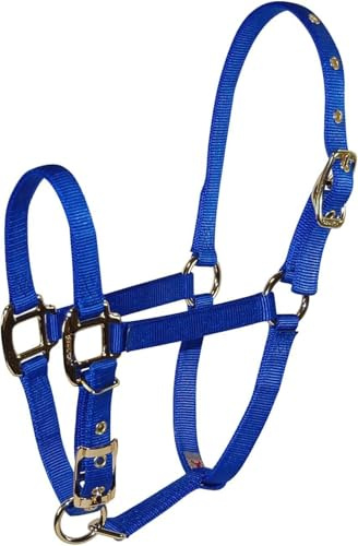 Hamilton Pet & Equine 3/4 Nylon Adjustable Chin Horse Halter, Foal, Blue