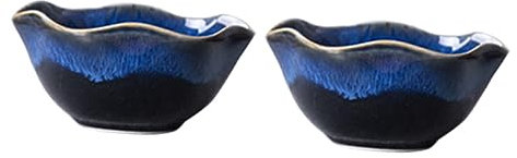LIGIGWASH 2 Cuencos De Cerámica Para Servir Arroz O Sopa Color Azul