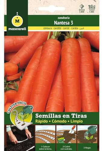 Mascarell Semillas, ZANAHORIA NANTESA, Cultiva Fácil, Crea tu Propio Huerto en Casa, Tira 5 Metros