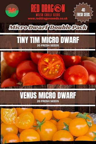 Micro Dwarf Double Pack Tomato Seeds – 40 Fresh Seeds