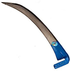 Guadaña SS sin barba cm.65 100 falci [falci]