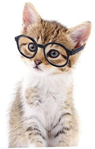 Bemvp 1 Pc Cat Dog Costume Set Cats Dogs Glasses Vintage Pet Eyeglasses Little Dog Cat Eyewear for Photos Props Accessories Pet Supplies