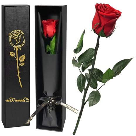 Jisrcha Rose Eternelle Cadeau Femme, Rose Eternelle Préservée avec Tige, Rose Artificielle Rouges pour Maman, Épouse, Meilleure Amie, Fleur Eternelle Noel Cadeau Saint-Valentin, Cadeau Fete des Meres