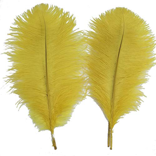Sowder 5pcs Ostrich Feathers 16-18inch(40-45cm) Home Wedding Decoration(Yellow)