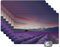 Placemats Platzdeckchen Platzset Tischset 6-teilig Tischdeko Untersetzer 45x30 cm Sonnenuntergang über Lavendel