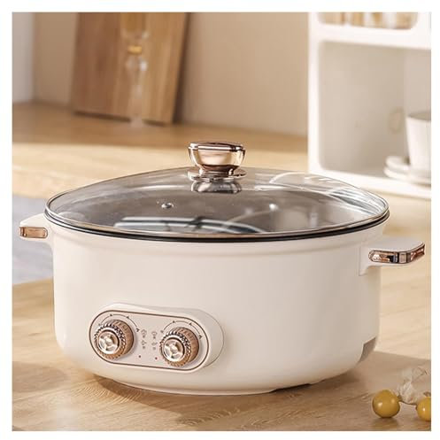 HJXBD888 Fondue Chinoise Electrique, Double Interrupteur de Commande Multi-Fonctions Multi-Fonctions Appareil Fondue Chinoise, Convient Aux FêTes d'anniversaire (avec 2 Filets Non éTanches),6.5L