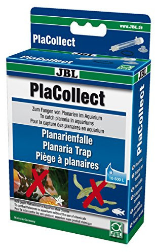 JBL Planarienfalle gegen Plattwürmer; PlaCollect; 61455