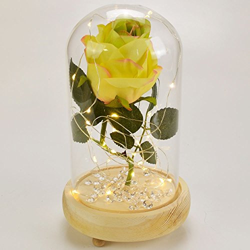 Mixed Lemon & Lime Handmade Enchanted Rose in Glass Dome Bell Jar with LED Lights