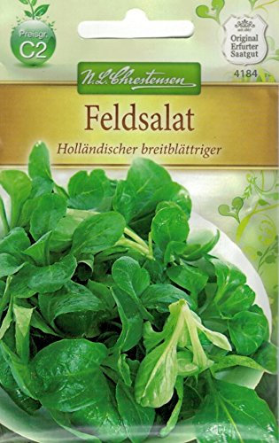 Chrestensen Feldsalat 'Holländischer breitblättriger'