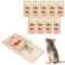 Dyaucwpo 10 Stück Mausefallen Aus Holz, Mausefalle Schlagfalle, Wiederverwendbar Rattenfallen Schlagfallen, Mouse Trap Hohe Schlagkraft, Giftfreie Mäusefalle für Rattenfang in Innenräumen, im Freien