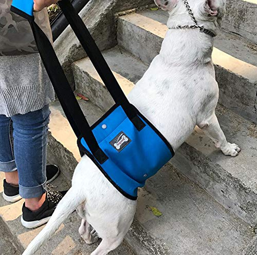 Supporto per Cane Imbracatura di Riabilitazione Assistere Sling per Cani Anziano Disabilità Ferito (Blu, XL)