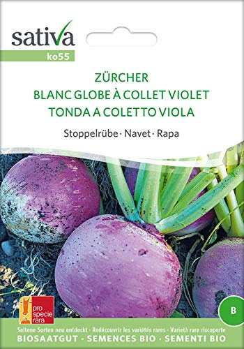 Sativa Rheinau ko55 Stoppelrübe Zürcher (Bio-Rübensamen)