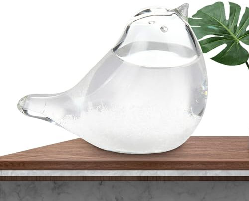 Station météo en verre tempête - Prévisions météorologiques faites à la main en - Verre tempête décoratif - Baromètre chimique - Appareil de prévision météo élégant - Cadeau pour la