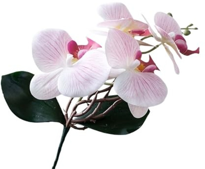 DUNSBY Konstgjord orkidé Realistiska konstgjorda malorkidéer | Med blad Phalaenopsis tygväxter falsk fjäril orkidé sovrum(Färg: 01)