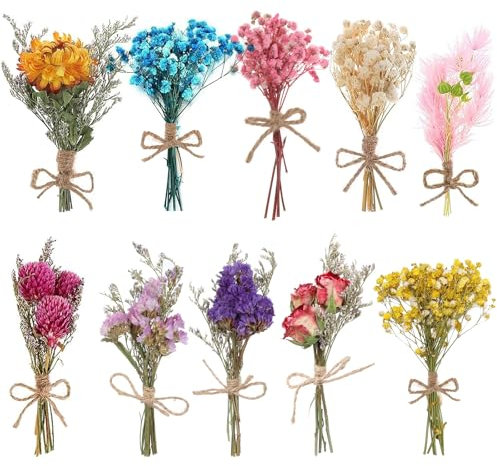 10 Mazzi di Fiori Secchi Naturali, Fiori Secchi Decorativi, Mini Bouquet di Fiori Secchi Naturali, Fiori Secchi Decorativi Naturali per Casa Giardino Feste Ufficio per Fai da Te