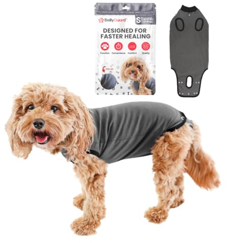 BellyGuard Recovery Suit for Dogs, Comfy Dog Surgery Suit, Female Spay and Male Neuter Onesie for Post-Op Care
